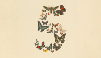 Claude Fable